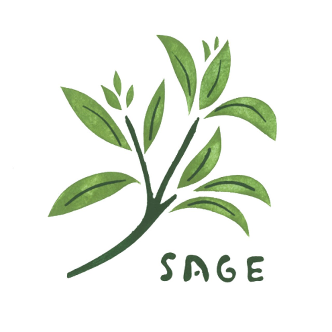 Sage Tile Wall Stencil | 1403 by Designer Stencils | Word & Phrase Stencils | Reusable Art Craft Stencils for Painting on Walls, Canvas, Wood | Reusable Plastic Paint Stencil for Home Makeover | Easy to Use & Clean Art Stencil